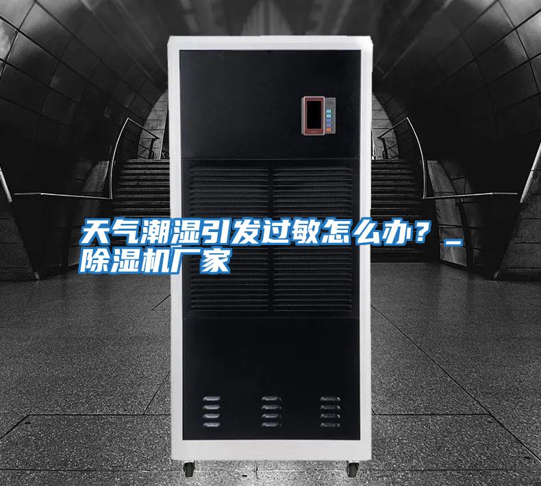 天氣潮濕引發(fā)過(guò)敏怎么辦？_除濕機(jī)廠家