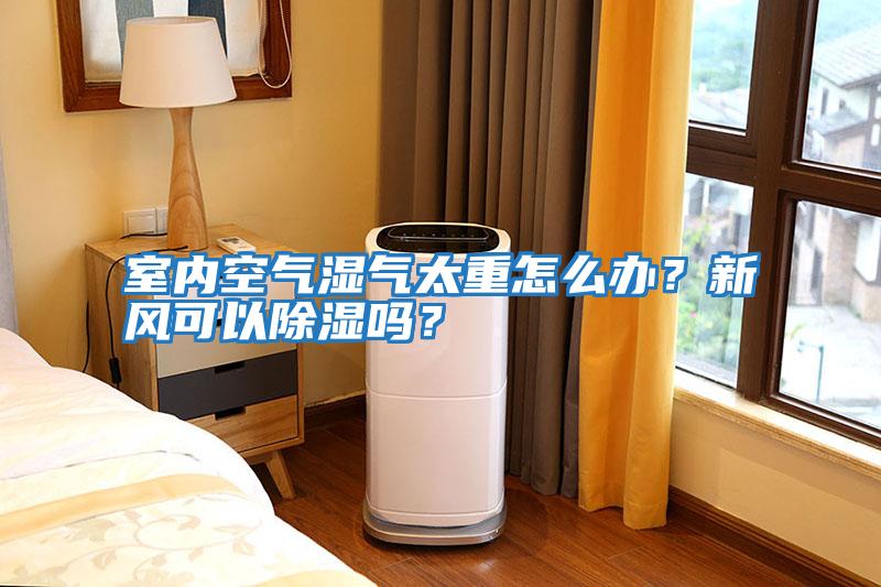 室內(nèi)空氣濕氣太重怎么辦?新風(fēng)可以除濕嗎?