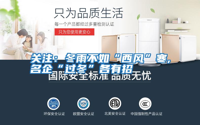 關(guān)注:冬雨不如“西風(fēng)”寒,名企“過(guò)冬”各有招