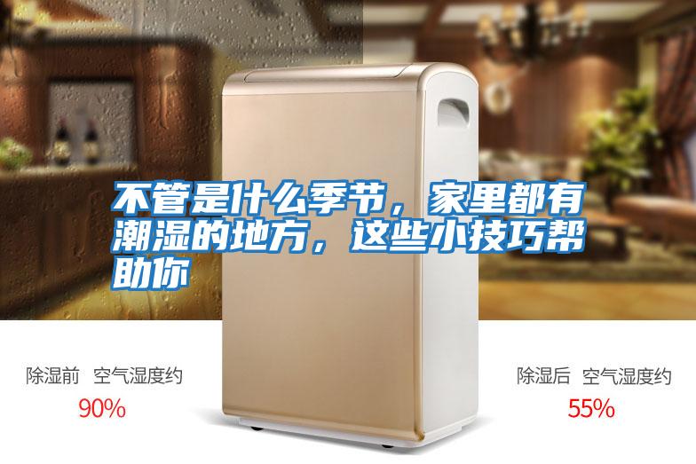 不管是什么季節(jié)，家里都有潮濕的地方，這些小技巧幫助你