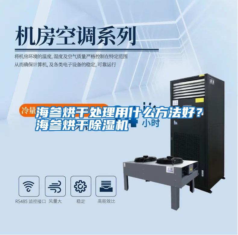 海參烘干處理用什么方法好?海參烘干除濕機