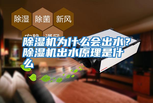 除濕機為什么會出水?除濕機出水原理是什么