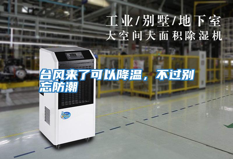 臺風(fēng)來了可以降溫,不過別忘防潮