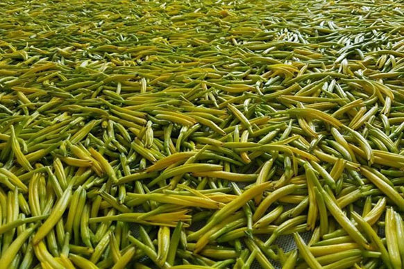 無硫金針菜烘干如何保持品相？不發黑？