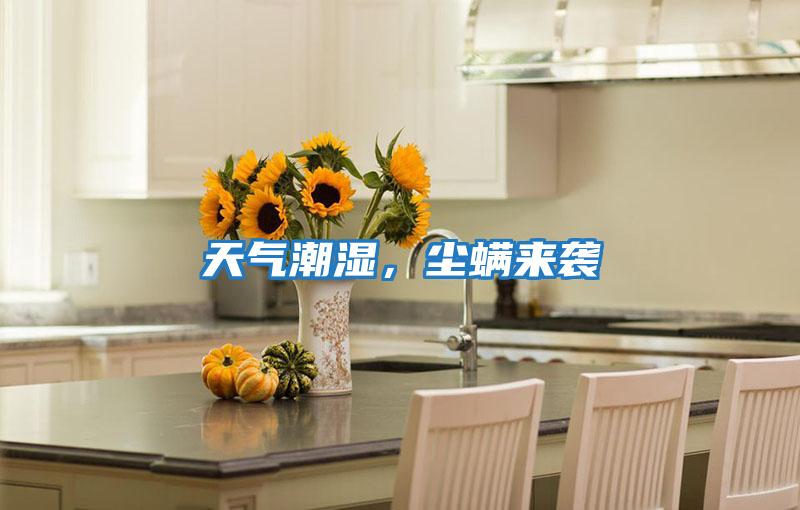 天氣潮濕，塵螨來(lái)襲