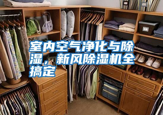 室內(nèi)空氣凈化與除濕,新風(fēng)除濕機(jī)全搞定