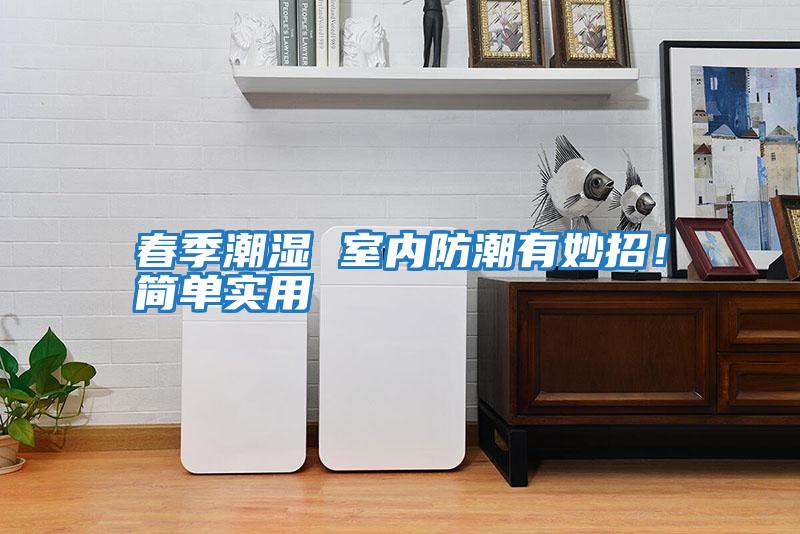 春季潮濕 室內(nèi)防潮有妙招！簡(jiǎn)單實(shí)用