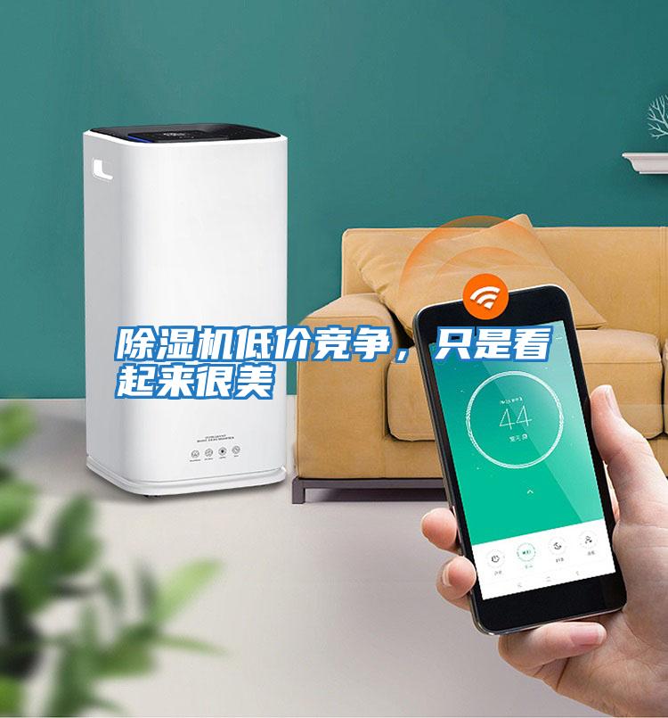 除濕機低價競爭，只是看起來很美