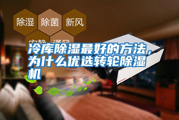 冷庫(kù)除濕最好的方法,為什么優(yōu)選轉(zhuǎn)輪除濕機(jī)