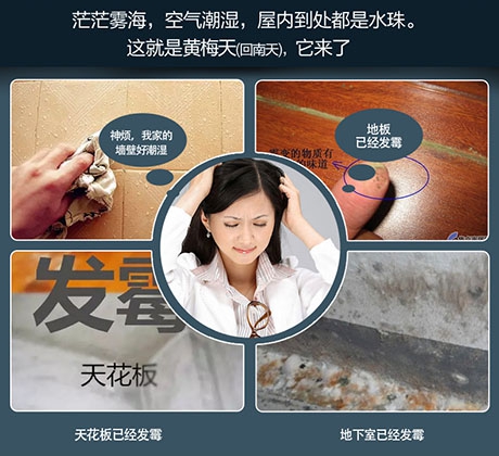 酒店、餐廳這么潮，誰還放心？除濕機用起來啊