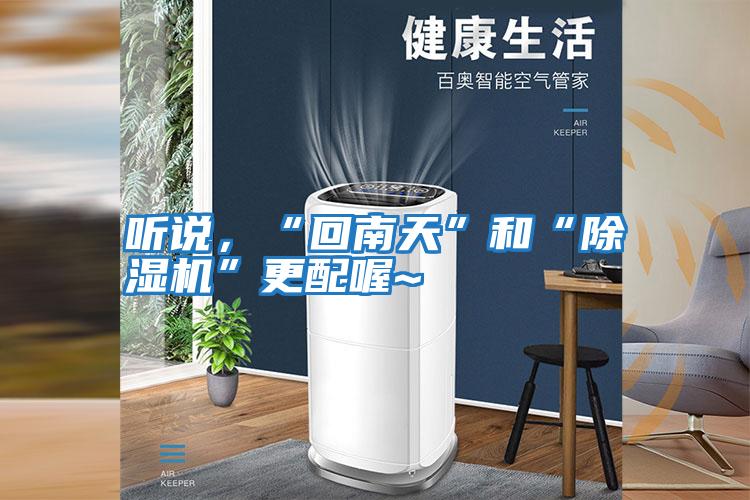 聽說,“回南天”和“除濕機(jī)”更配喔~