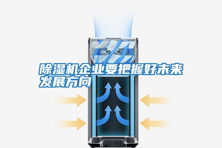 除濕機(jī)企業(yè)要把握好未來發(fā)展方向