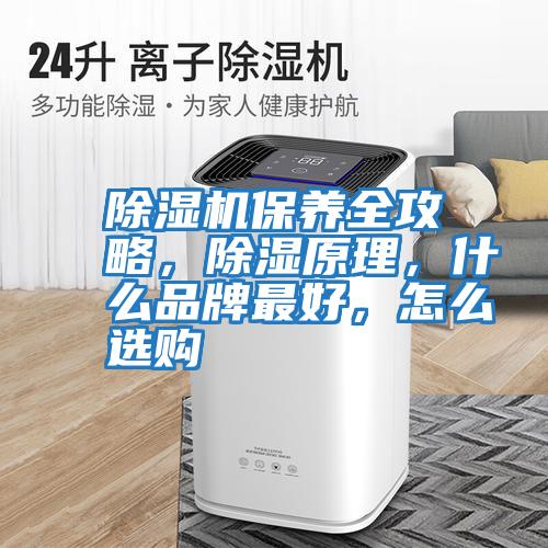 除濕機保養(yǎng)全攻略，除濕原理，什么品牌最好，怎么選購