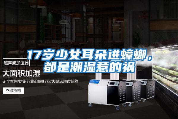 17歲少女耳朵進蟑螂，都是潮濕惹的禍