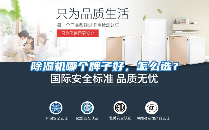 除濕機哪個牌子好，怎么選？