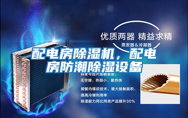 配電房除濕機，配電房防潮除濕設備