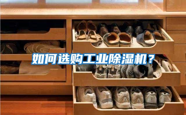 如何選購工業除濕機？