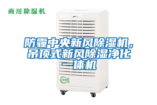 防霾中央新風除濕機,吊頂式新風除濕凈化一體機