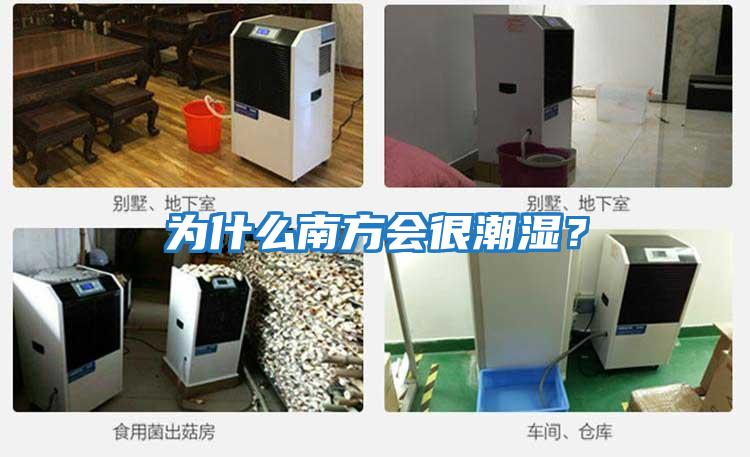 為什么南方會(huì)很潮濕？