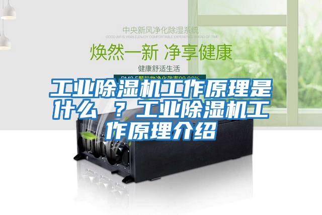 工業(yè)除濕機工作原理是什么 ？工業(yè)除濕機工作原理介紹