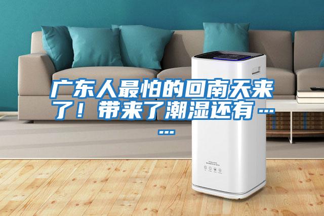 廣東人最怕的回南天來了!帶來了潮濕還有……