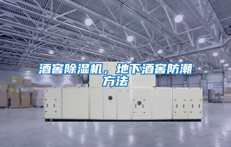 酒窖除濕機，地下酒窖防潮方法