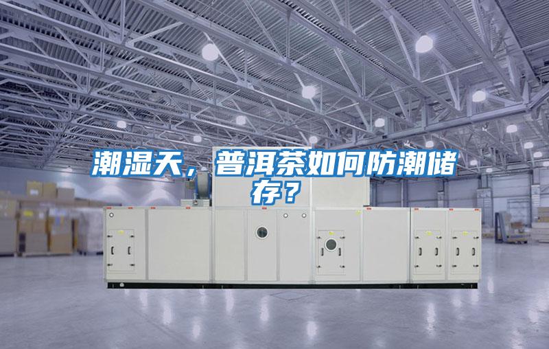 潮濕天，普洱茶如何防潮儲(chǔ)存？