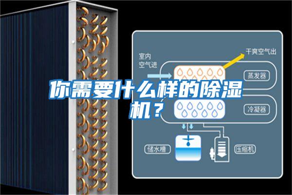 你需要什么樣的除濕機(jī)？