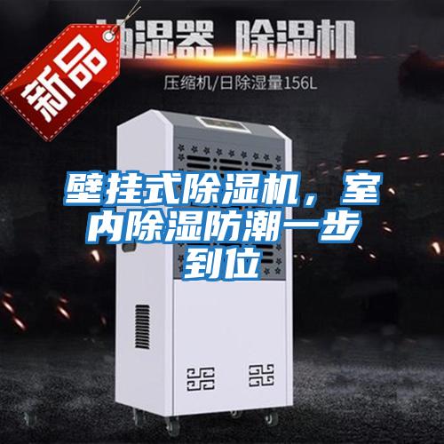 壁掛式除濕機,室內除濕防潮一步到位