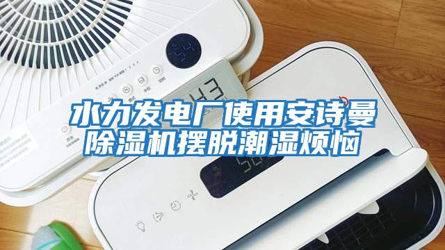 水力發電廠使用安詩曼除濕機擺脫潮濕煩惱