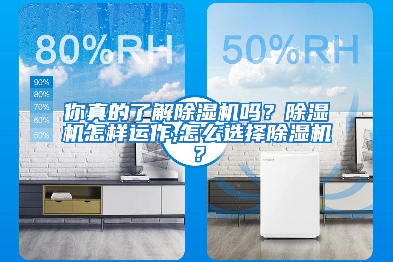 你真的了解除濕機嗎？除濕機怎樣運作,怎么選擇除濕機？