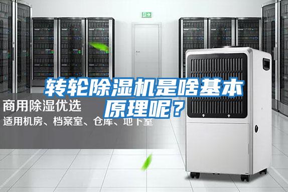 轉(zhuǎn)輪除濕機是啥基本原理呢?