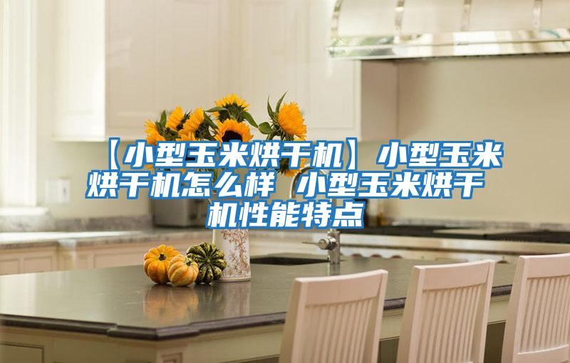 【小型玉米烘干機(jī)】小型玉米烘干機(jī)怎么樣 小型玉米烘干機(jī)性能特點