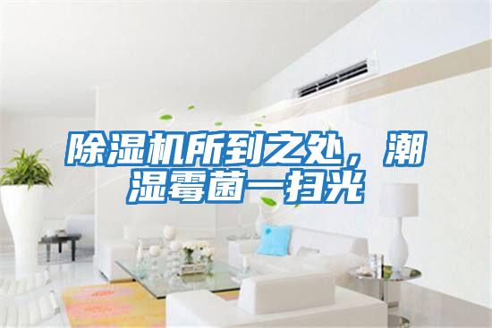 除濕機所到之處,潮濕霉菌一掃光
