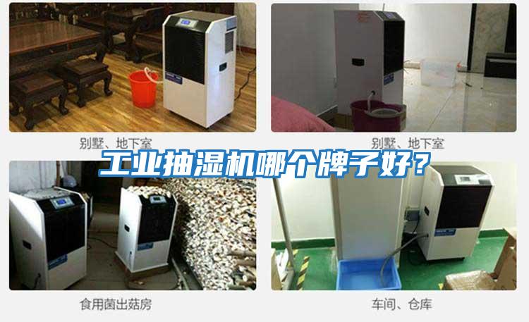 工業抽濕機哪個牌子好?