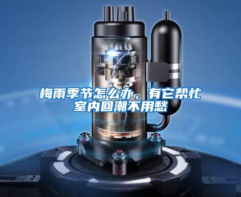 梅雨季節怎么辦,有它幫忙室內回潮不用愁