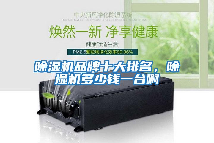 除濕機品牌十大排名，除濕機多少錢一臺啊