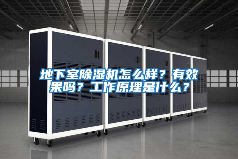 地下室除濕機怎么樣?有效果嗎?工作原理是什么?