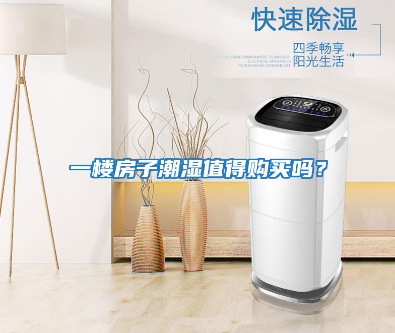 一樓房子潮濕值得購買嗎？