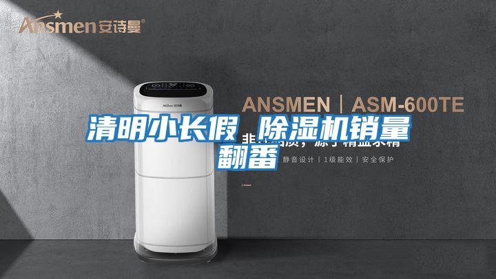 清明小長假 除濕機(jī)銷量翻番