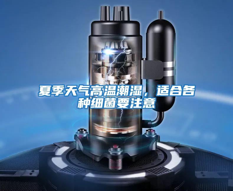 夏季天氣高溫潮濕，適合各種細(xì)菌要注意