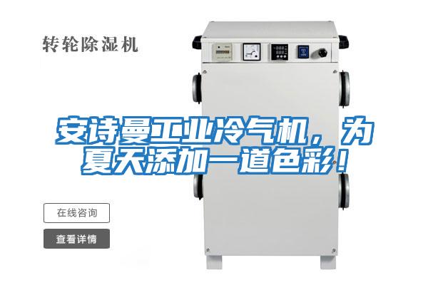 安詩曼工業(yè)冷氣機(jī),為夏天添加一道色彩!