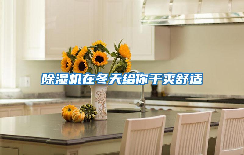 除濕機(jī)在冬天給你干爽舒適