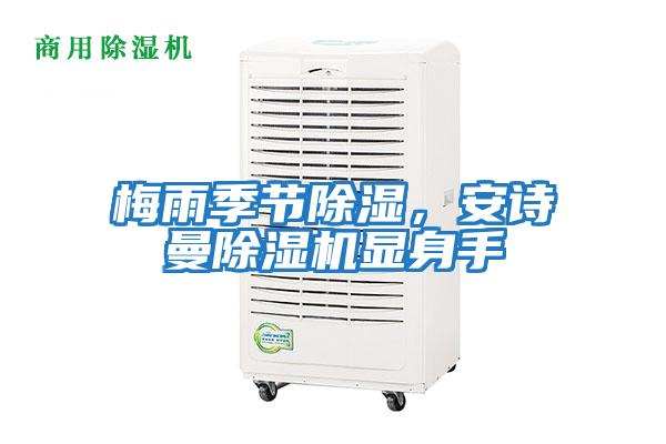 梅雨季節除濕，安詩曼除濕機顯身手