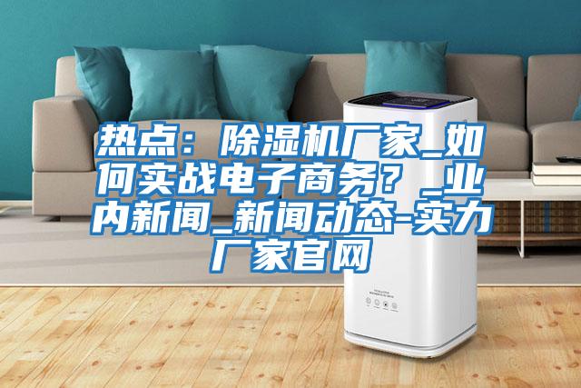 熱點：除濕機廠家_如何實戰(zhàn)電子商務？_業(yè)內新聞_新聞動態(tài)-實力廠家官網(wǎng)