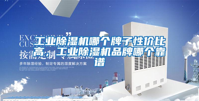工業(yè)除濕機(jī)哪個牌子性價比高,工業(yè)除濕機(jī)品牌哪個靠譜