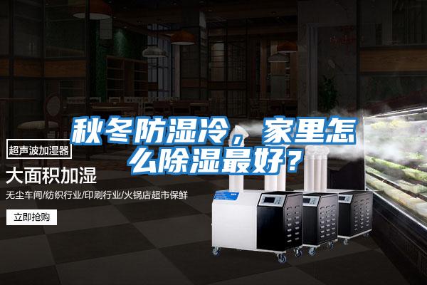 秋冬防濕冷,家里怎么除濕最好?