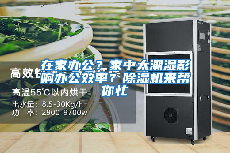 在家辦公？家中太潮濕影響辦公效率？除濕機(jī)來幫你忙