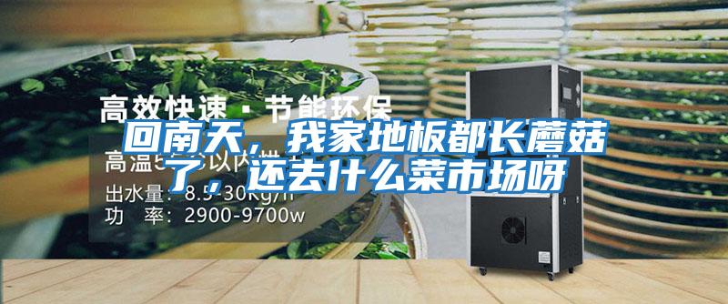 回南天，我家地板都長蘑菇了，還去什么菜市場呀