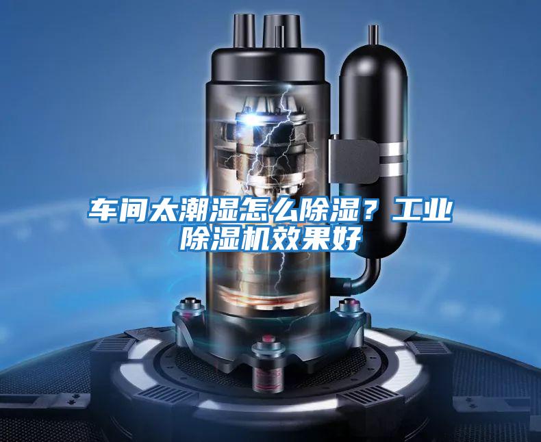 車間太潮濕怎么除濕?工業除濕機效果好